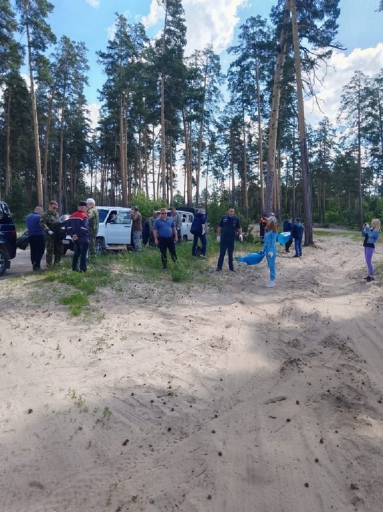 Берег Сурского водохранилища расчистили со стороны Золотаревки