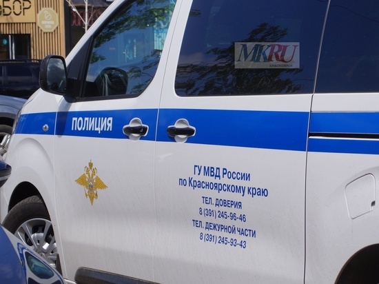 31-летний житель Красноярска убил 72-летнюю пенсионерку ради 40 тысяч рублей