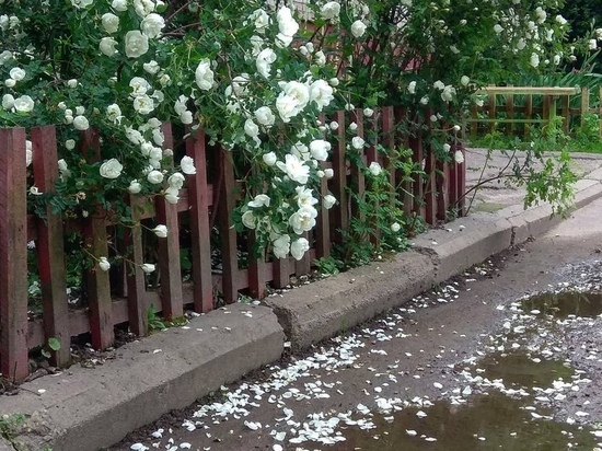 10 июня смолян ждет настоящая гроза