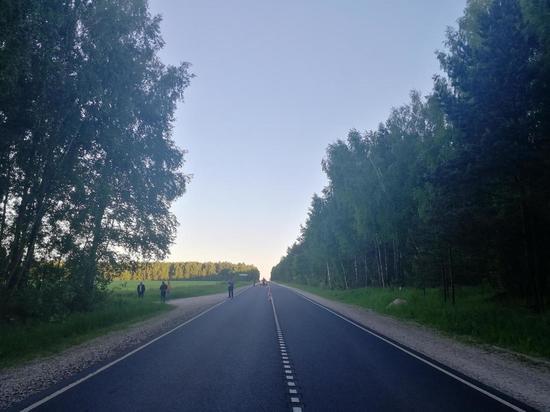 Сбитую в Касимовском районе 12-летнюю девочку вертолётом доставили в Рязань