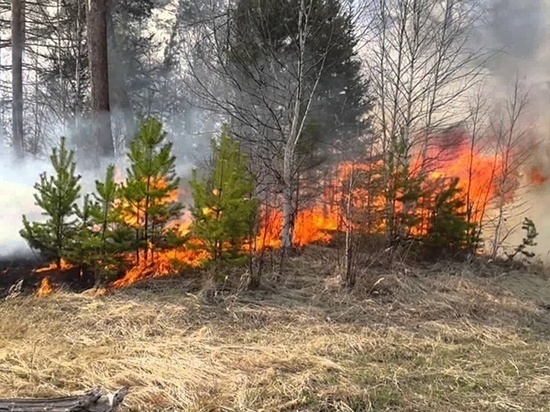 В Ростовской области в ближайшие сутки ожидается чрезвычайная пожароопасность