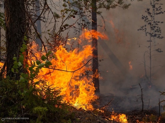 Огнеборцы справились с двумя лесными пожарами в районе Карелии