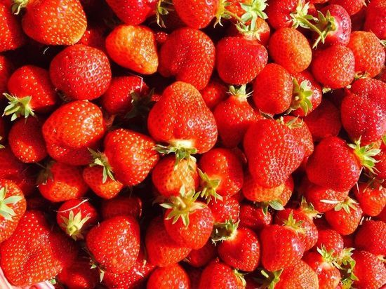 В Ставрополе на ярмарках  горожане смогут купить сезонные ягоды