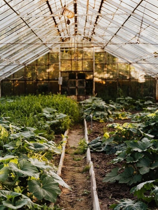 Калининградцы могут поучаствовать в агроволонтерском проекте «Добрый огород»