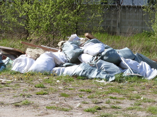 Новый сервис поможет ленинградским дачникам узнать, легально ли вывозят мусор