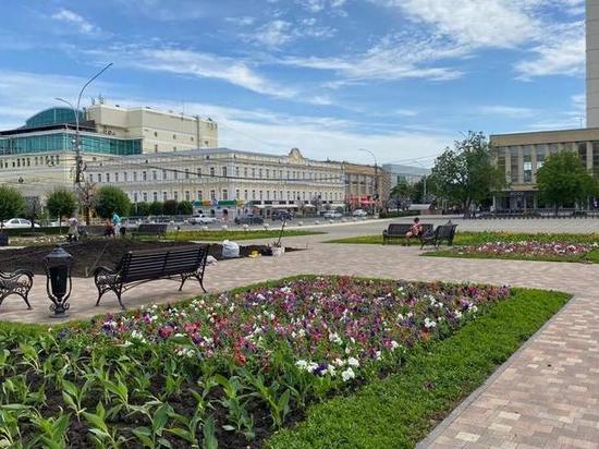 Клумбы Ставрополя украсят 460 тысяч цветов