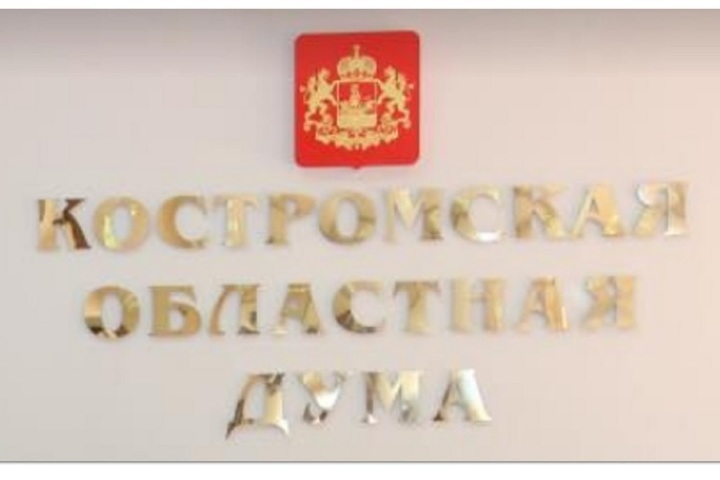 Депутаты фракции «Единая Россия» в Костромской областной Думе разработали дополнительные меры по поддержке многодетных семей.