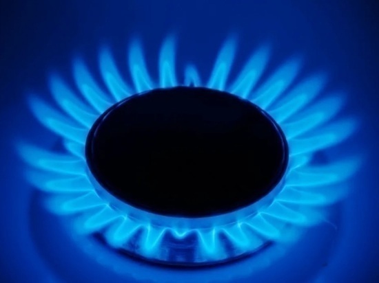 Губернатор Костромской области потребовал внести изменения в планы газификации