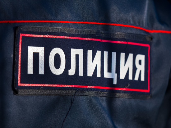 В Челябинске полицеские призвали к порядку граждан, недовольных проектом катка УралГУФК