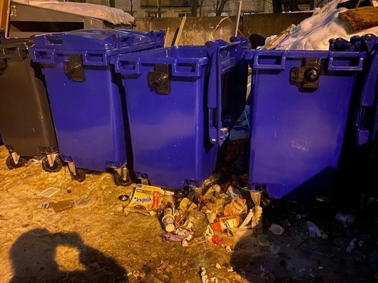 Дачникам Ленобласти объяснили, как проверить легальность вывоза мусора с участков