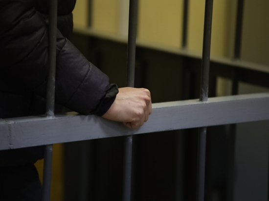 Задержанного в Петербурге наркоторговца из Литвы экстрадировали на родину