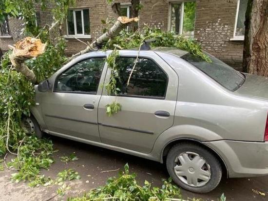 За неделю из-за непогоды в Уфе упало 80 деревьев – пострадало 9 автомобилей