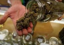 Глава правительства Украины Денис Шмыгаль предложил на рассмотрение в Верховную раду законопроект о легализации медицинской марихуаны