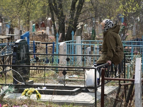 Мэрия Новосибирска организовала бесплатный транспорт на кладбище