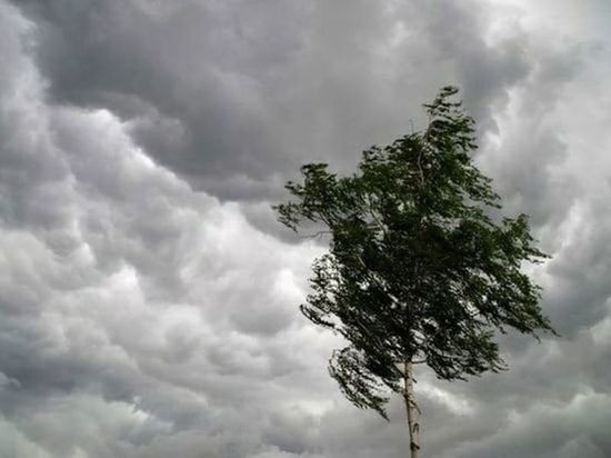 В выходные Омской области грозит мощный циклон