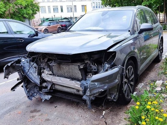 Смертельное ДТП в Маловишерском районе унесло жизни водителя Skoda Rapid и лося
