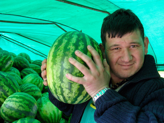  Украина осталась без арбузов и черешни из-за потери Запорожской и Херсонской областей