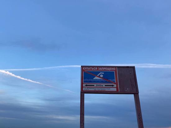 Девятиклассников из Великого Новгорода наградили за спасение тонущего ребенка