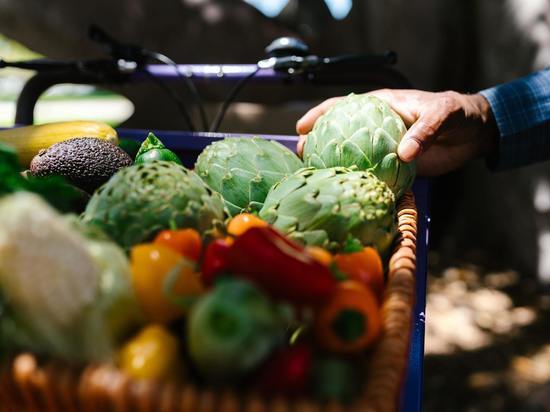 Горошек, артишок и вишня: петербуржцам назвали сезонные продукты июня