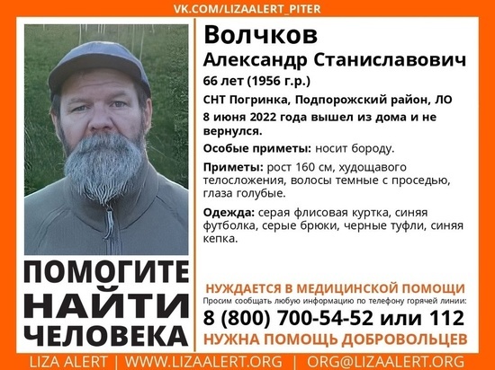 Пожилого мужчину с бородой ищут четвертый день в Подпорожском районе