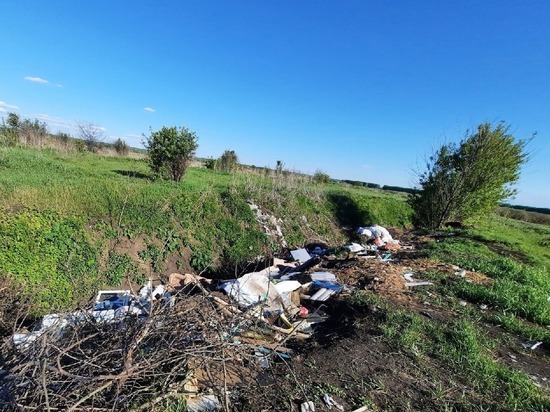 В трёх районах Тамбовской области после жалоб жителей вывезли мусор