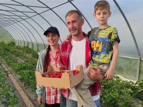 В 2017 году фермеры Владимир и Марина Ананьины стали победителями конкурса на получение гранта министерства АПК и торговли Архангельской области.