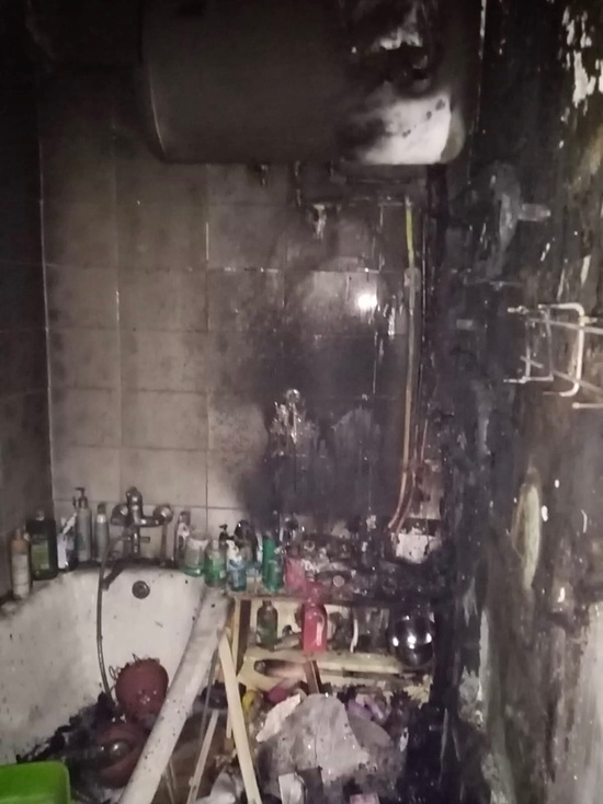 Домашнюю кошечку спасли из горящей в Кильдинстрое квартиры