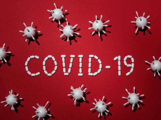 В Курской области 28 человек заразились вирусом COVID-19 за сутки