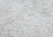 Минсельхоз России предлагает запретить в нынешнем году экспорт риса с 1 июля до 31 декабря