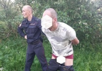 По "горячим" следам был задержан 31-летний мужчина, надругавшийся над девочкой недалеко от пруда в Родниках