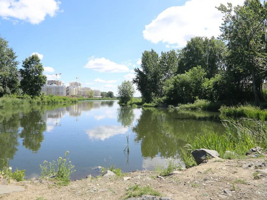 Рыба гибнет в реке Исеть в Екатеринбурге