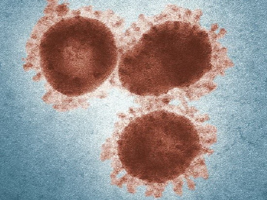 Вирусы стремительно меняются: как прогрессируют в мире вирусные заболевания