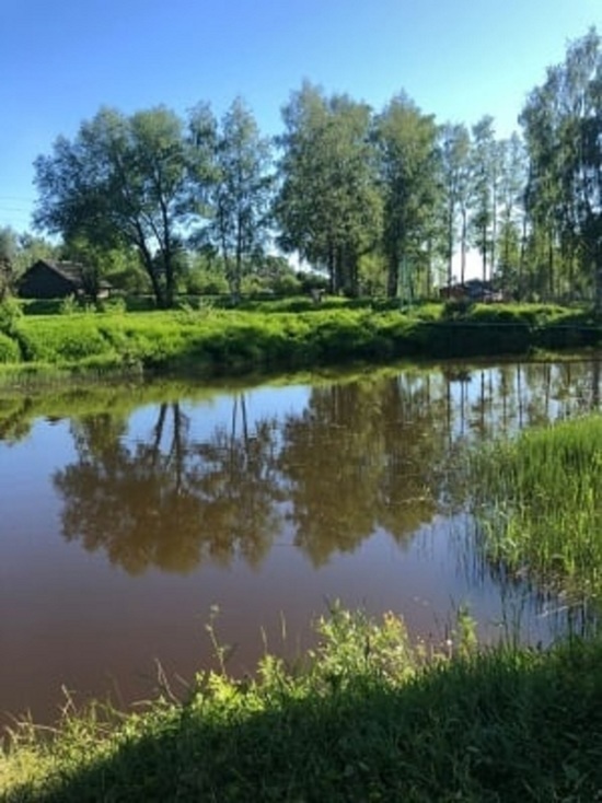 В Тверской области в реке Неледино нашли труп женщины
