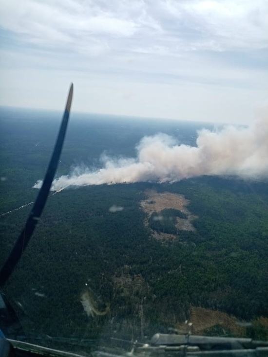 Крупный лесной пожар ликвидирован в Енисейском районе Красноярского края