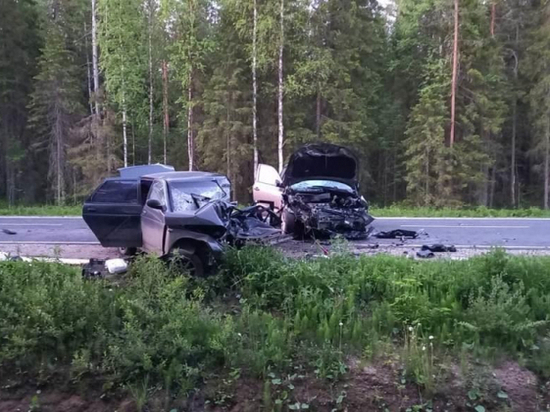 В Вельском районе женщина наехала на лося