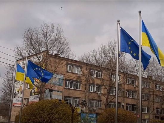 Германское издание посоветовало «не жалеть» Украину при вступлении в Евросоюз