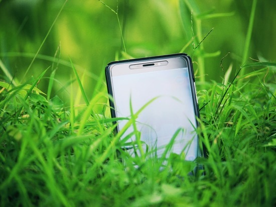 В Смоленском районе сыщики раскрыли кражу телефона