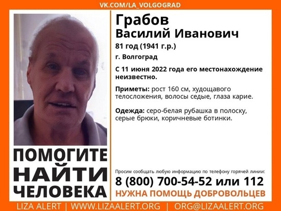 В Волгограде разыскивают 81-летнего мужчину