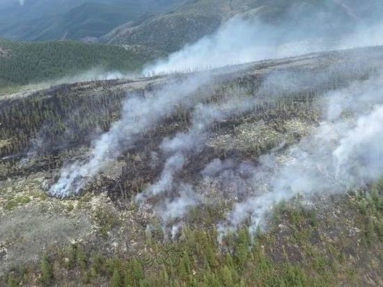 В Якутии на утро 14 июня тушат семь лесных пожаров