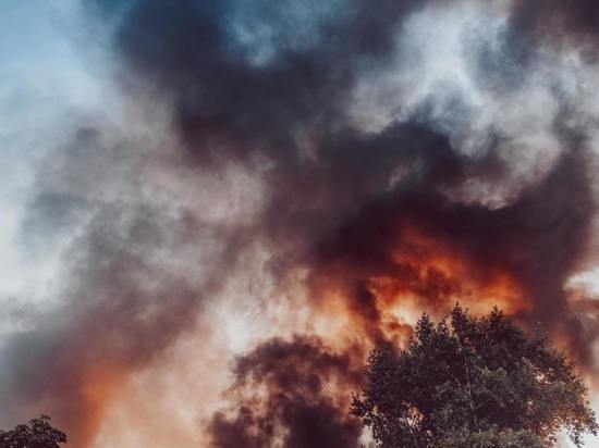 Площадь лесного пожара на севере Сахалина превысила 2000 га