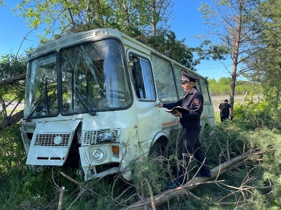 Потерявший сознание водитель автобуса устроил ДТП на Урале