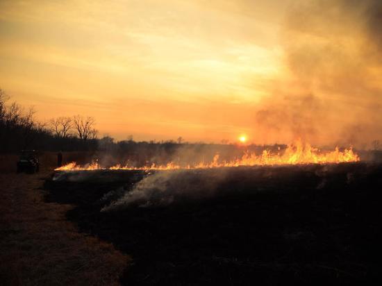 На тушение крупного лесного пожара в Охинском районе дополнительно направят 80 человек