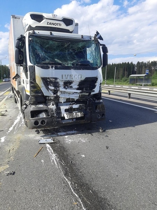 Появились новые подробности аварии с фурой и «ГАЗелью» на трассе М-10 в Тверской области