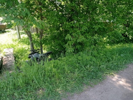 Опубликовали фотографию с места гибели 83-летнего водителя в Тверской области