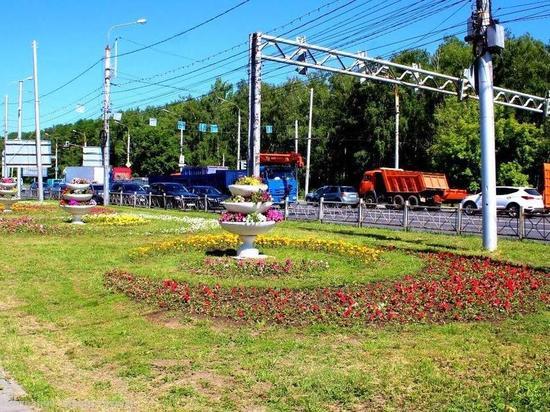 В Рязани на площади Димитрова высадили цветы
