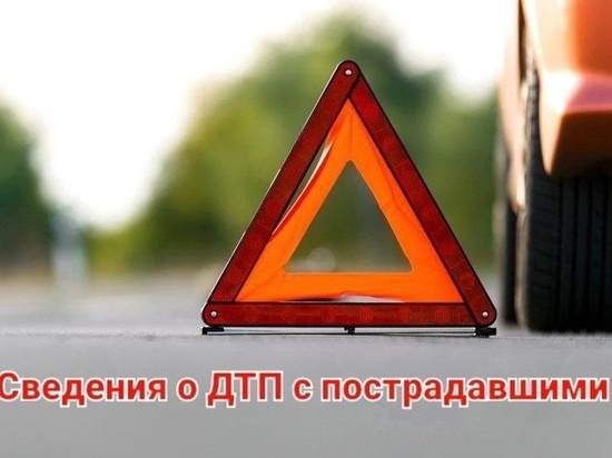 В Курской области разбился насмерть 37-летний мужчина на мопеде Alpfa