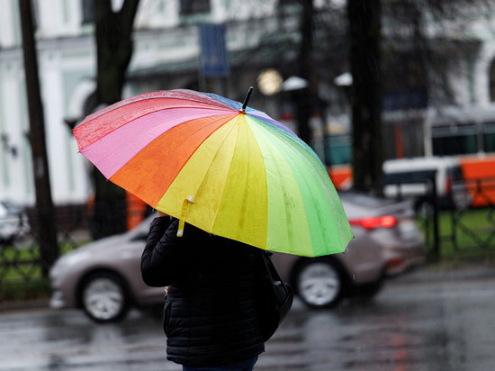 Дождливый ветреный день прогнозируют псковские синоптики 15 июня