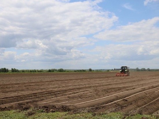 На 100 гектаров расширится агрохолдинг «Дашковка» в Серпухове