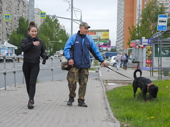 «Собака не виновата, что покусала»