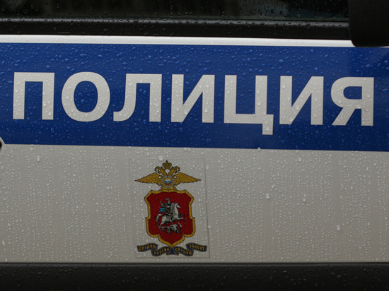 Калининградские полицейские задержали похитителя нижнего белья